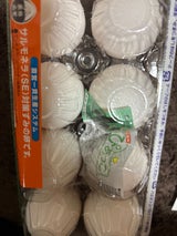 アキタ ぴあっこ M 10H