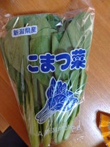 JA新潟 小松菜 300g