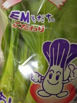 茨城県北浦みつば チンゲン菜