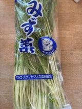 マルコ みずな 200g