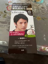 ルシード ケアカラー ダークブラウン 1組