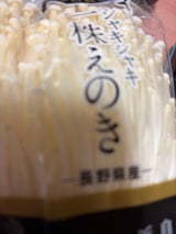 丸金 えのき茸一株 1P