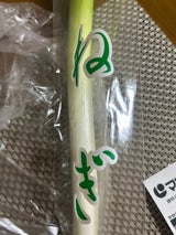 太洋 ネギ
