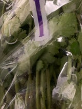 アドバンス パクチー 茨城産 1P