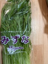 熊本大同青果 みずな 200g