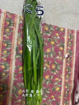 JA群馬 にら100ℊ