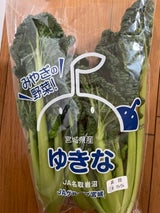 全農宮城 ゆき菜 200g