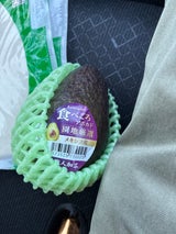 EQUAL アボカド小玉パック 6個