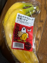 丸八 グラウジーズ応援バナナ 1袋