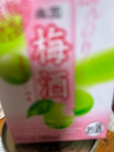 楽園 梅酒 ミニパック 180ml