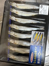 岡田 ししゃも 5L 黒 8尾