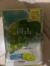 カネカ食品 岡山マスカットグミ 40g