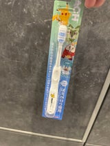 リーチキッズ ポケットモンスター はえかわり期用