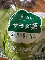 JAとぴあ浜松 サラダ菜 袋 1個