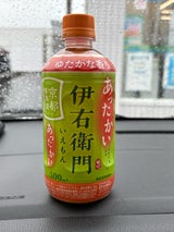 サントリー ホット伊右衛門 ペット 500ml