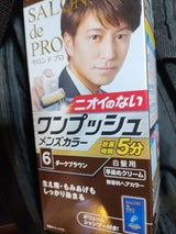 サロンドP ワンプッシュメンズカラー白髪用6 1個
