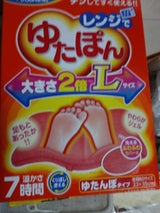 白元 レンジでゆたぽん Lサイズ 1個