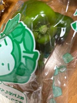 JA宮崎 ししとう