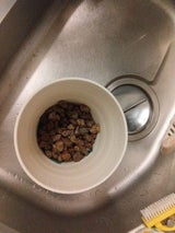 アップルウェアー クラフトポット18型 ホワイト