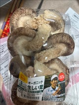 妙義 生椎茸 5タマ