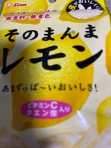 ライオン菓子 そのまんまレモン 25g