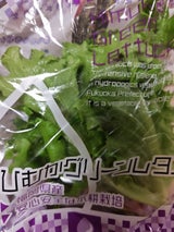 ひむか グリーンミニレタス