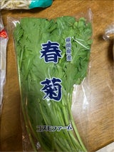 コスモF しゅんぎく 150g