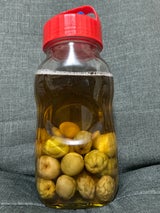 I-77861-R-C-JAN うめ編 2L