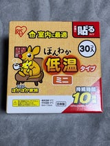 ぽかぽか家族 低温 貼る ミニ 30P