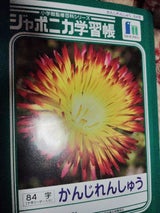 学習帳 漢字84            JL-49