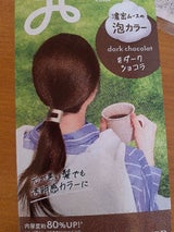 リーゼ 泡カラー ダークショコラ 115ml