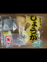 アグリンク 千葉県産生姜 小 1袋