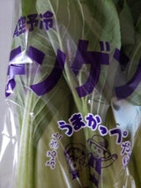 岩井中央 チンゲン菜 1P