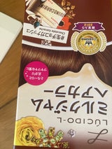 ルシードエル Mジャムヘアカラー生チョコG 1組