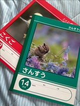 ニッケン文具 B5サイズさんすう14マス