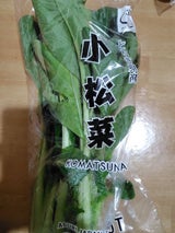 太洋 小松菜用袋 T-25