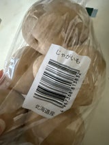 精工 新じゃがいもNEW新鮮パック 1P