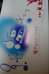 ゆげや なまはげの塩チョコパイ 10個