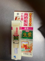 生葉口内塗薬 20g