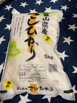 ヤマサン 富山産こしひかり 5kg