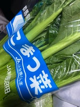 JA群馬 こまつな 300g