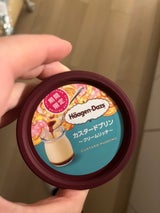 ミニカップ カスタードプリンクリームR 110ml