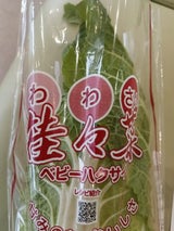 トキタ 娃々菜 500g
