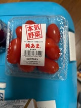 サントリーフラワーズ 真夏の金うり 3個