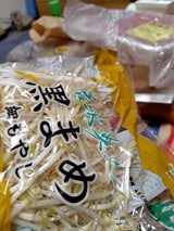 名水美人 黒まめ細もやし