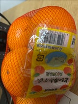 名織 とぴあみかん 1P