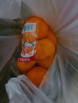 ユーシーポリマー みかん 1P