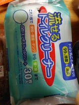 G&G 流せるトイレクリーナー 30枚