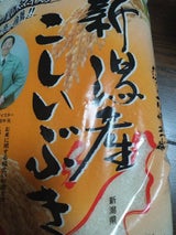 田中 新潟産 こしいぶき 5kg