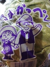 岩井中央 レタス 1P